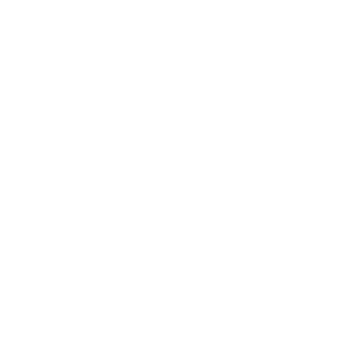 Noize MC Shop EU
